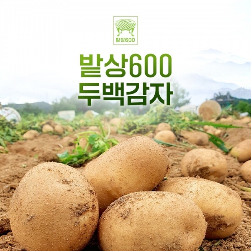 밭상600,무농약 강원도 쪄먹는 감자 2.5kg